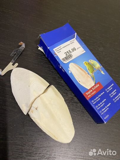 Панцирь каракатицы Трикси 12 см