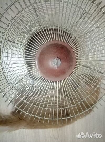 Клетка для птиц