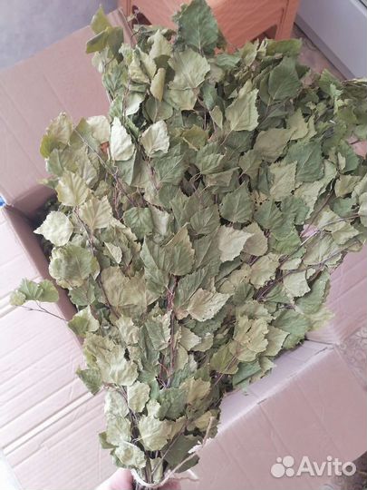 Дубовые веники для бани