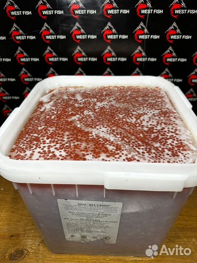 Красная Икра Кеты 2023г оптом без посредников