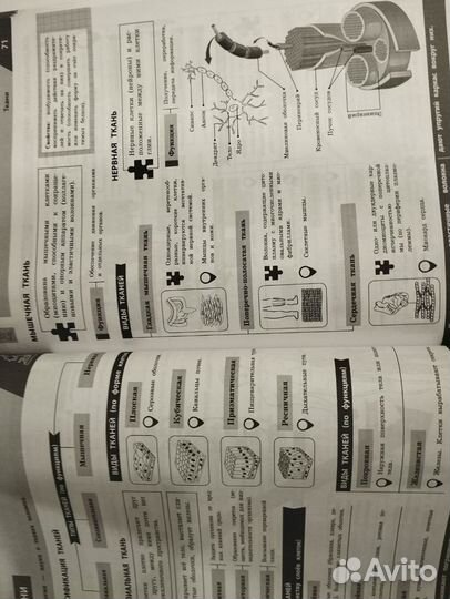 Книга биология в инфографике