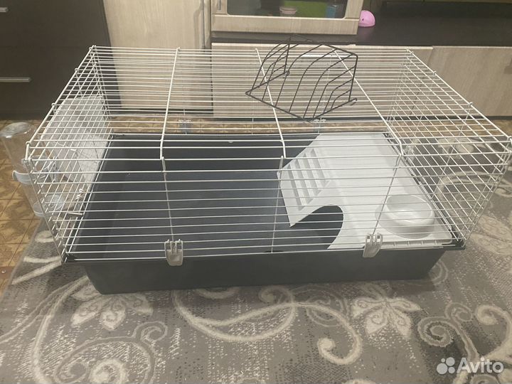 Клетка для грызунов очень большая