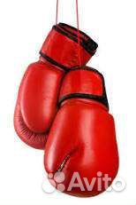 Лапы для единоборств