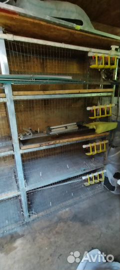 Клетки для перепелов бу