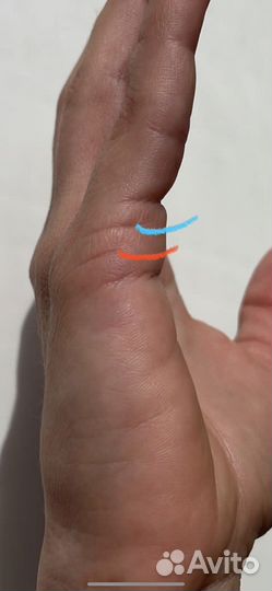 Хиромантия,обучение,хирология