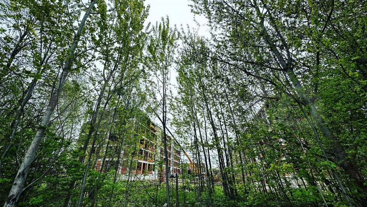 2-к. квартира, 62 м², 1/5 эт.