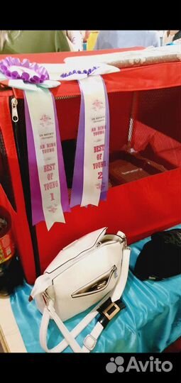 Выставочная палатка для кошек