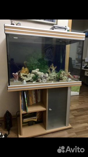 Аквариум