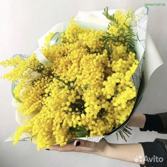 Букеты из мимозы (Арт.39809)