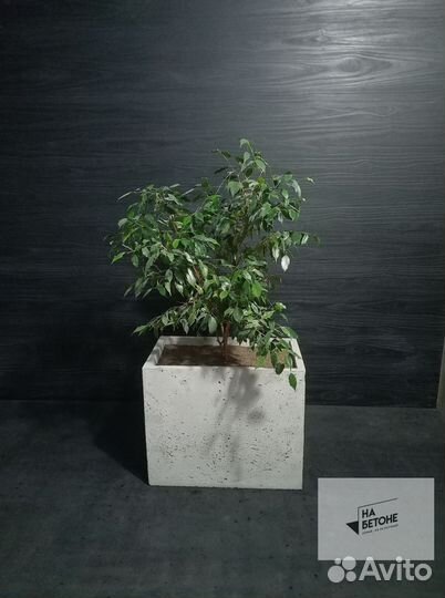 Кашпо, Вазоны, горшки для цветов