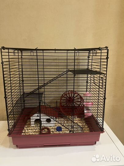 Клетка для хомяка вместе с хомяком
