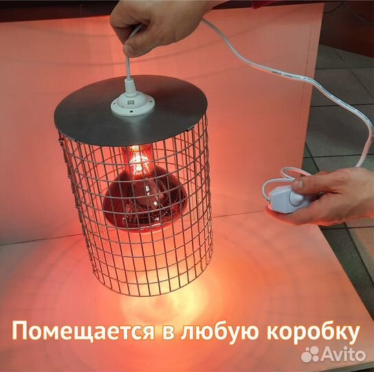 Брудер сетка для цыплят