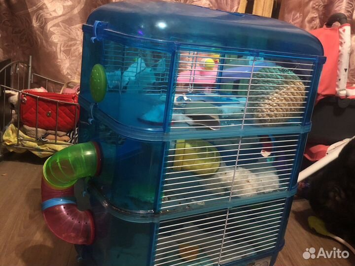 Продам клетку