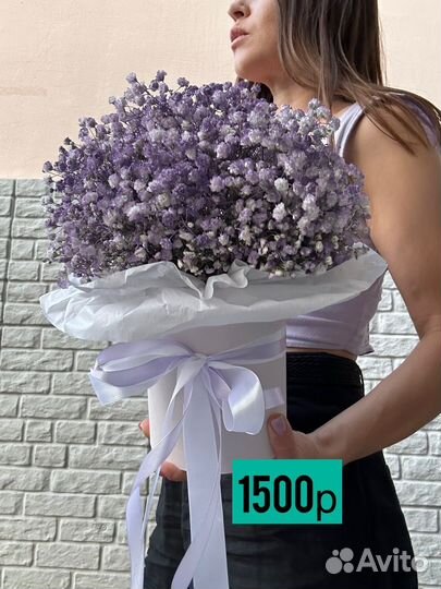 Радужная гипсофила