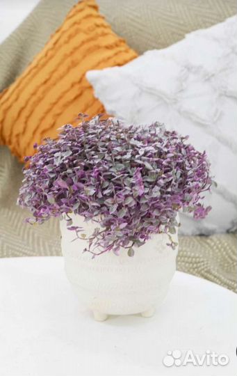 Коллизия розовая пантера и бьянка