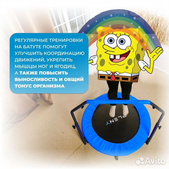 Батут с поручнем DFC pleny 40