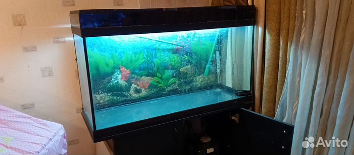 Аквариум с тумбой 175 литров