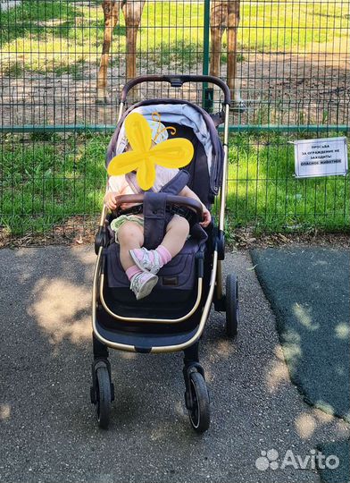 Коляска 2 в 1 carello epica