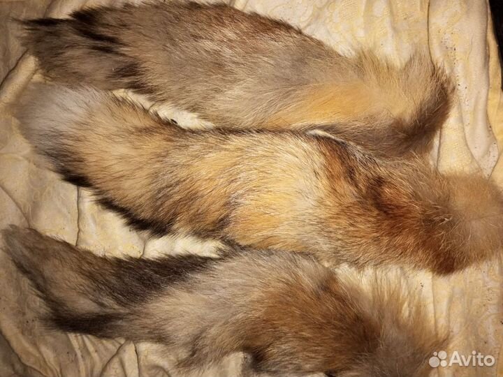 Лоскут из лисицы