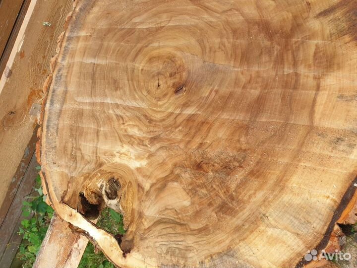 Слэб дерева и спилы