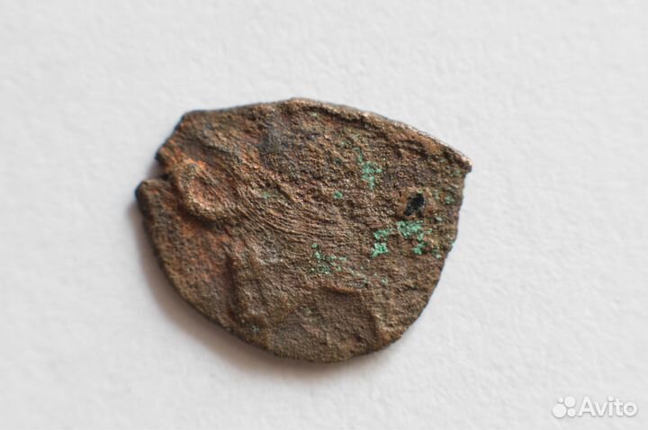 Медная чешуйка