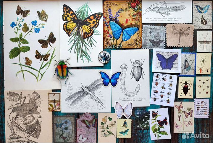 Наборы для скрапбукинга насекомые
