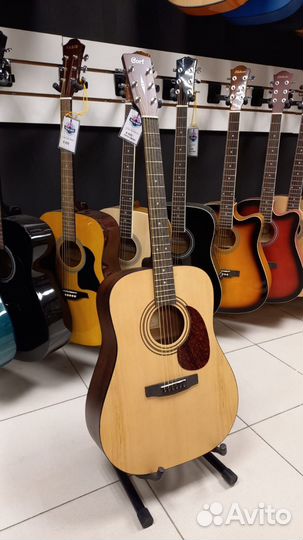 Гитара Акустическая Cort Earth60 OP Новая
