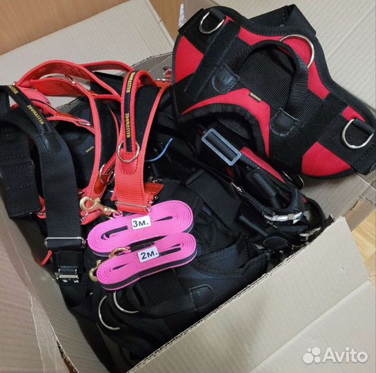 Профессиональная амуниция для собак