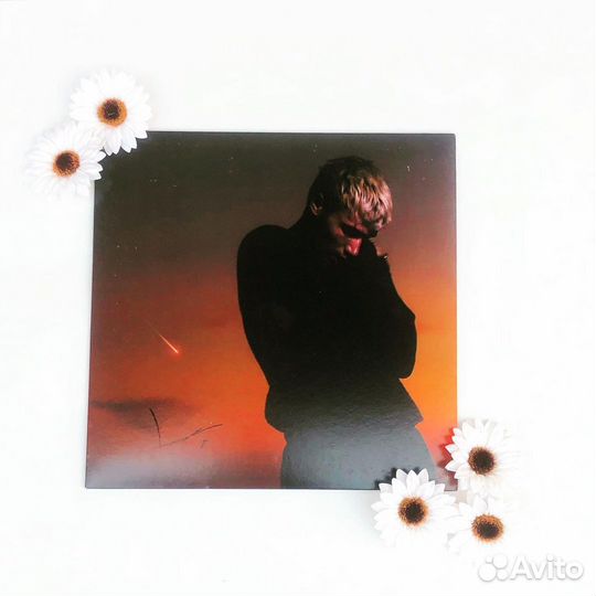 Винил Jeremy Zucker - Love Is Not Dying