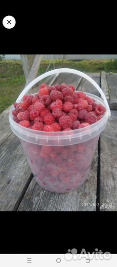 Кусты малины