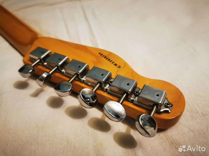 Grass Roots by ESP G TE 50M