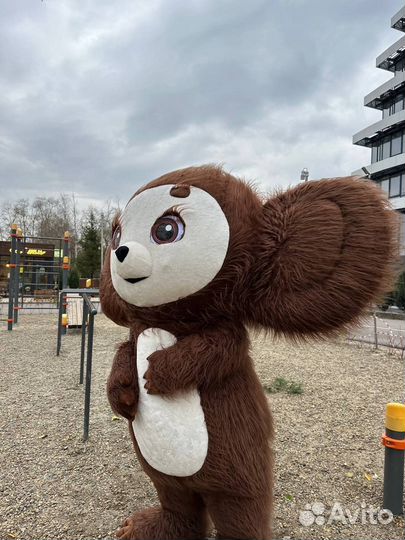 Поздравление от Чебурашки