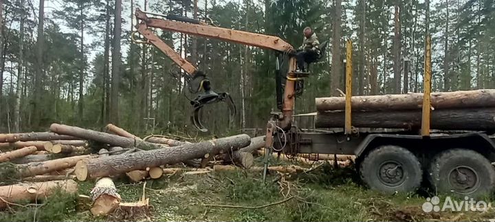 Расчистка участка от деревьев и кустарников