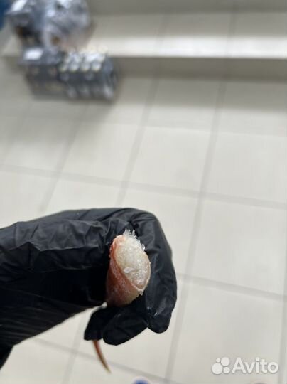 Клешни краба стригуна