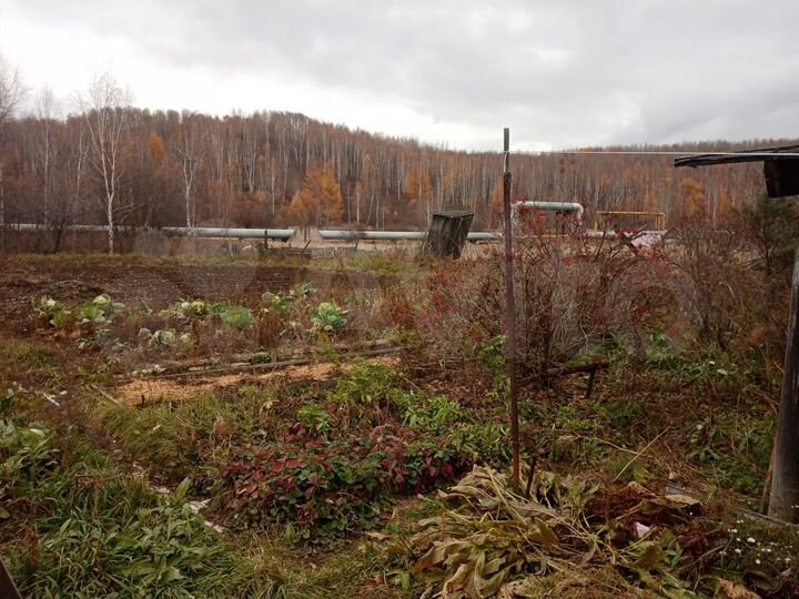 Дом 35 м² на участке 12 сот.