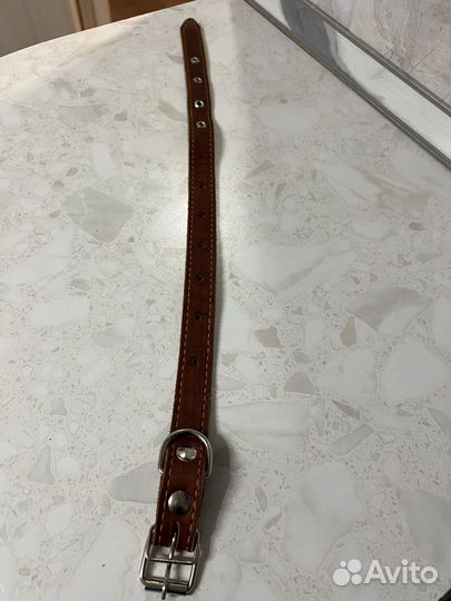 Ошейник для собак