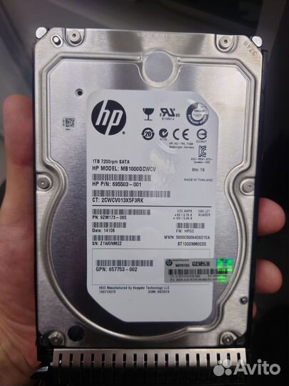 Жесткий диск HP 1 тб