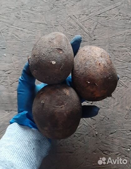 Продам картофель домашний