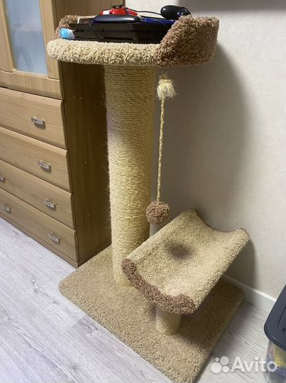 Когтеточка