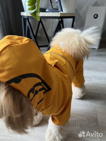 Дождевик для мелких собак