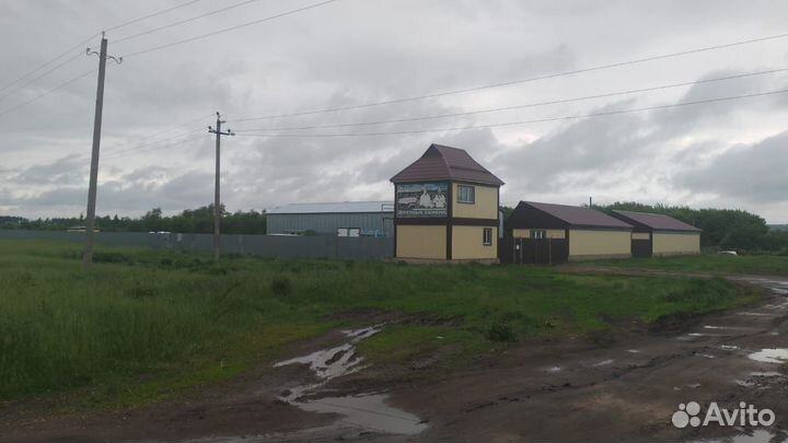 Семена трав