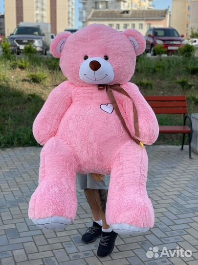 Плюшевый медведь