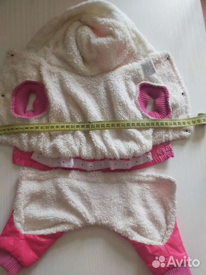 Одежда для собак мелких пород