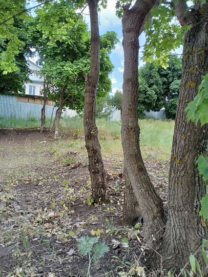 Участок 6,9 сот. (ИЖС)