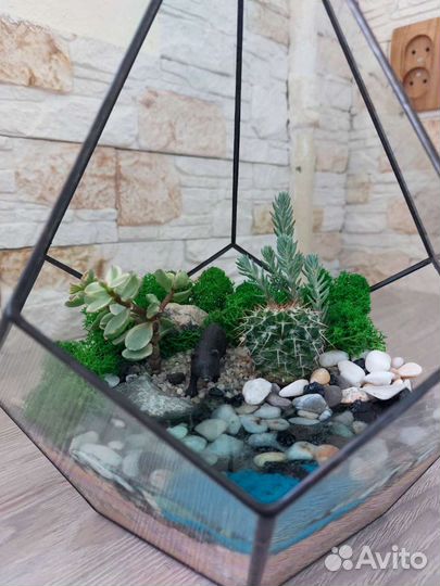 Флорариум с водоемом