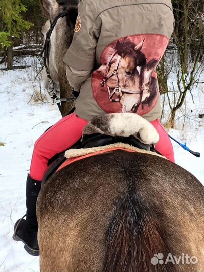 Обучение верховой езде