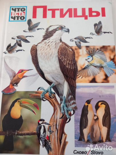 Детские энциклопедии коллекция