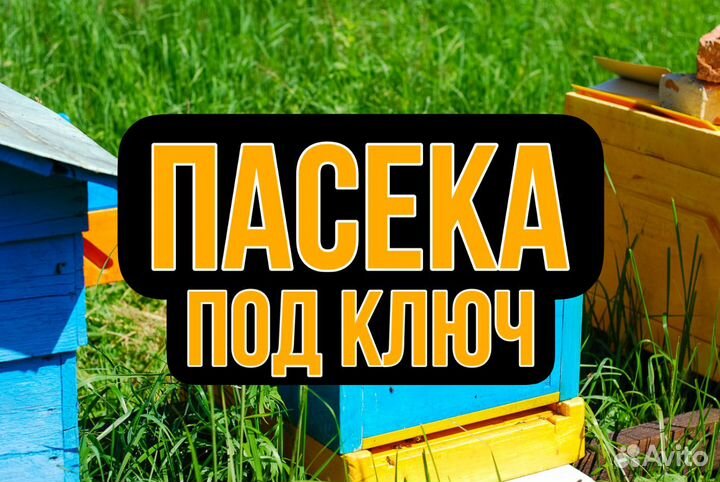 Готовая пасека Пасека под ключ