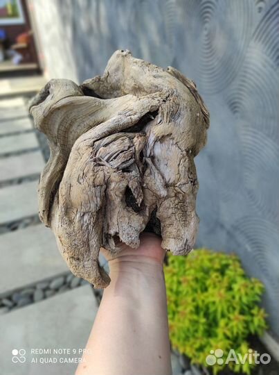 Уникальные коряги для ваших цветочных композиций