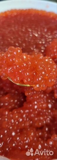 Красная икра купить